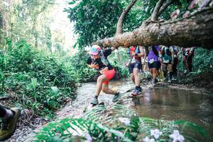 BIB: 
                            <button type="button" onclick="openModal(25465920)" class="btn btn-primary btn-sm float-right btn-popup" data-toggle="modal" data-target=".modal-high-quality">
                        <i class="fas fa-shopping-cart"></i> Add to Cart
                    </button>
                                            <button type="button" onclick="isThisMe(25465920, true)" class="btn btn-success btn-sm float-right btn-popup btn-isme hidden" data-toggle="tooltip" data-placement="bottom" title="นี่คือรูปของคุณใช่ไหม คลิกที่นี่เพื่อเอาเข้าอัลบั้ม">
                        <i class="fas fa-plus"></i> Add to album
                    </button>
                    <button type="button" onclick="isThisMe(25465920, false)" class="btn btn-warning btn-sm float-right btn-popup btn-isnotme hidden">
                        <i class="fas fa-ban"></i> Remove from album
                    </button>